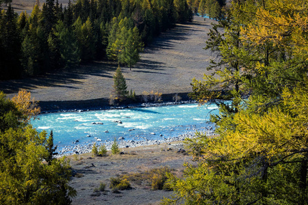 蓝色的河在秋天森林在一个晴朗的天。秋季一日游在山上