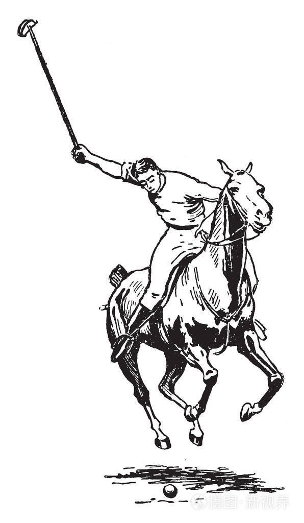 人类正在用直冲的前冲复古线画或雕刻插图打马球比赛的球