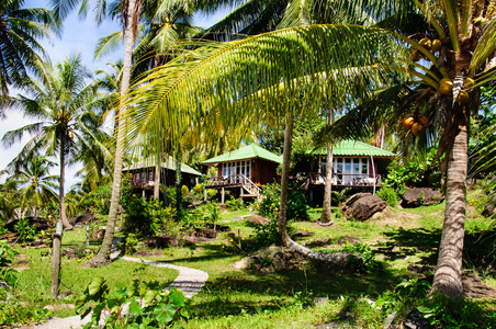 美丽的热带海滩上的房子在泰国沽岛上
