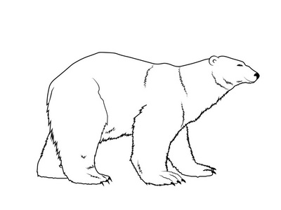 北极熊剪影图片