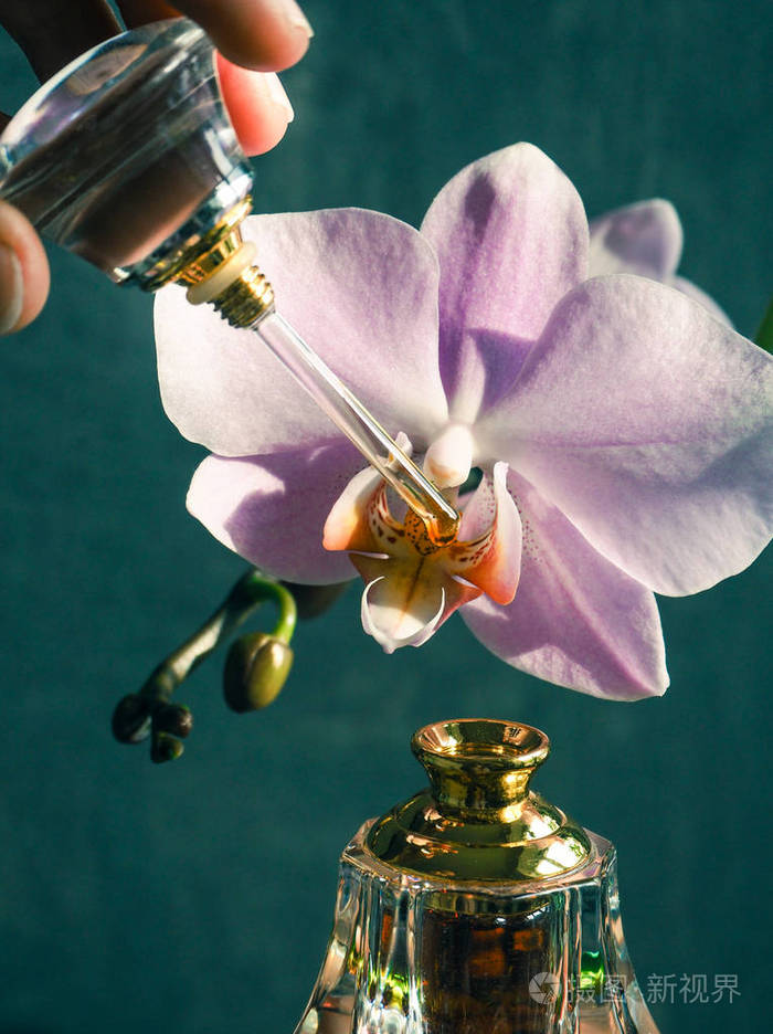 阿拉伯oudattar香水或agarwood油香料在迷你瓶