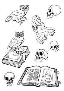 手绘万圣节元素。猫头鹰, 旧书和头骨