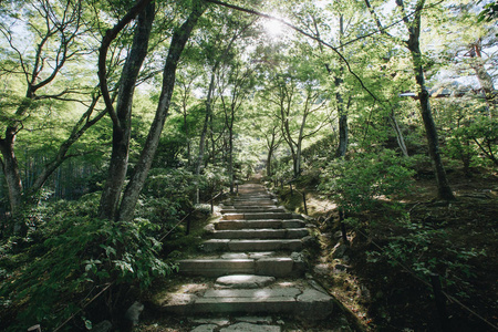 日本花园人行道与树叶电影复古风格