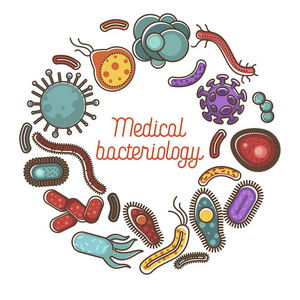 细菌和微生物医学细菌学或病毒的心脏海报和细菌微生物学研究和科学