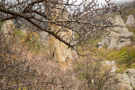 克里米亚的 Demerdzhi 山。自然纪念碑 幽灵谷