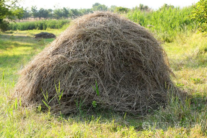 在字段中的干草堆