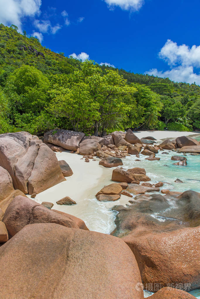 拉齐奥天堂海滩与白色沙子绿松石水丰富的绿树和石头塞舌尔