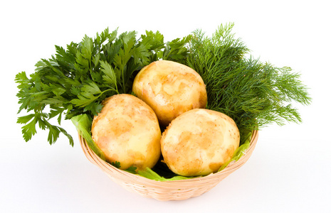 新鲜的土豆和绿色的莳萝和欧芹孤立的白色