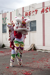 农历新年舞狮图片