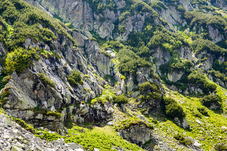 洛基山