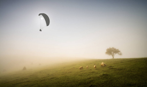 滑翔伞的剪影在一个深雾的喀尔巴阡山脉山脉