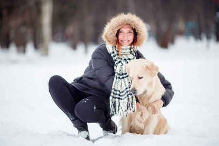 黑色背景下的金毛图片