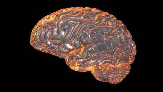人类的大脑 3d 渲染