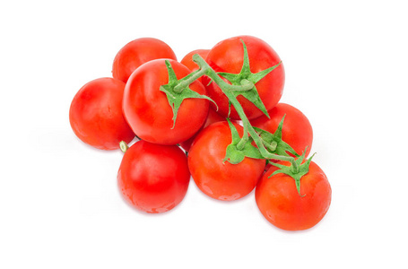 成熟红色蕃茄的分支在白色背景上