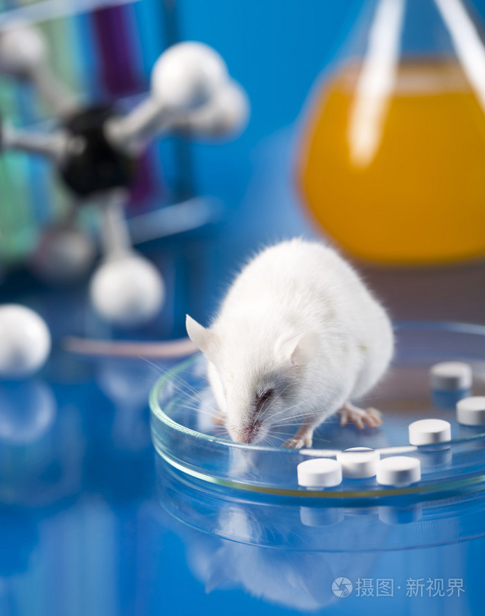 工作场所现代分子生物学实验室测试在蓝色背景