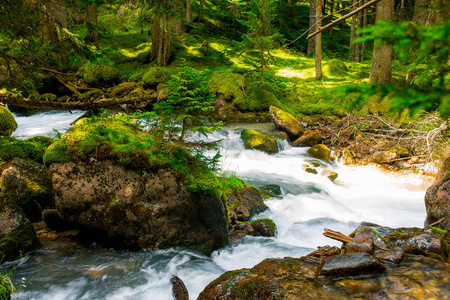 在夏天阳光明媚的天气里, 山上流淌着清澈的河水在岩石和绿树之间流动