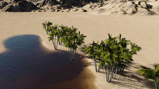 3d 渲染沙漠中的绿洲