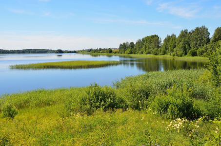 俄罗斯沃洛格达州 borodaevskoye 湖夏季