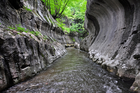 在一个野生的峡谷河