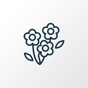 雏菊图标线符号.优质分离的洋甘菊元素的时尚风格照片