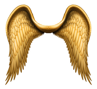 天使的翅膀照片