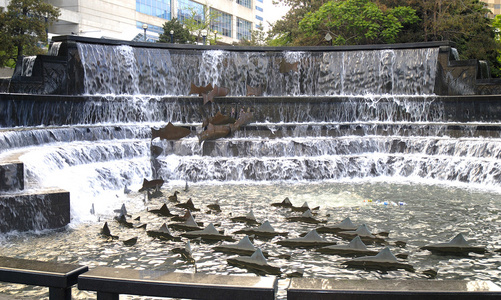 在加拿大安大略省的多伦多运行喷泉庆祝三文鱼