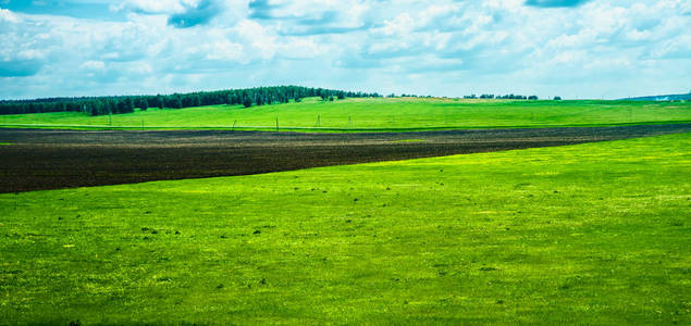 黑土, 空旷的田野。太阳光。农业领域和日落。自然和产业背景
