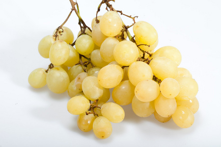 群的白葡萄品种图片