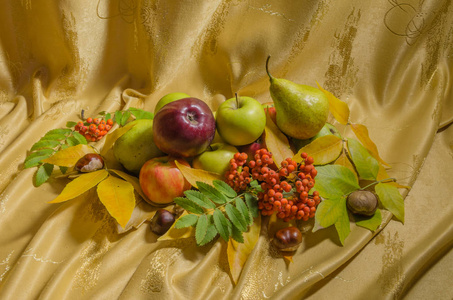 美丽的秋天寂静的生活与罗恩, 果子和叶子在黄色背景