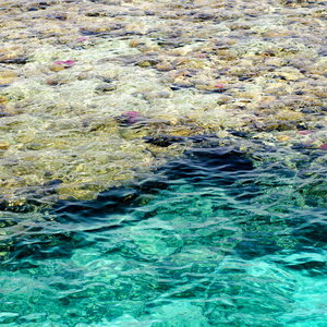 夏季彩石河道水流的快速水流图片