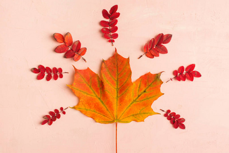 秋天柔和的粉红色构成与红色叶子, 平的放置样式