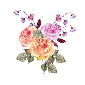 水彩粉红色细腻的玫瑰花扁豆。手绘花束。设计插图