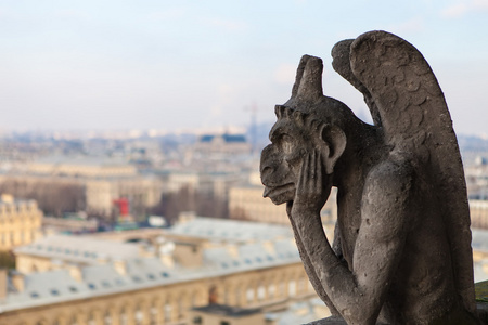 Notre dame  巴黎巴黎圣母院