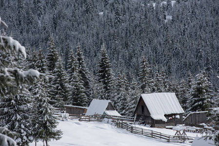 冬天山村庄风景与雪被盖的房子