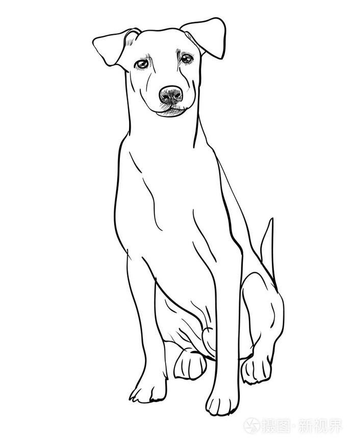 坐在棕色的狗插画-正版商用图片077z28-摄图新视界