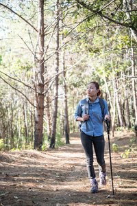 女子徒步旅行者背包漫步松树林