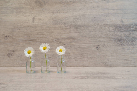 夏日创意静物的简约风格。白色玛格丽特菊花小玻璃瓶在浅灰色背景下的花朵