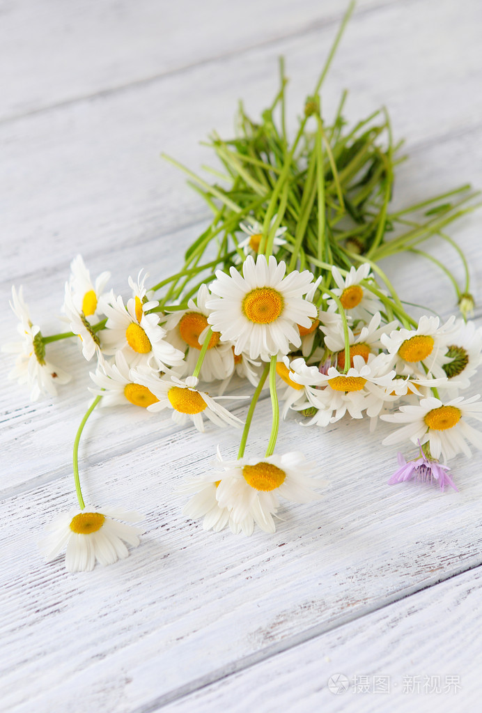 木制的背景上的白色雏菊的花束