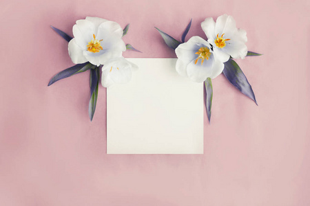 白色花朵和空卡与复制空间