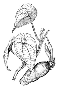 感恩是一幅画图片-感恩是一幅画素材-感恩是一幅画插画-摄图新视界