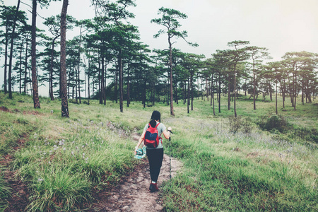 徒步旅行在森林旅行者妇女与背包