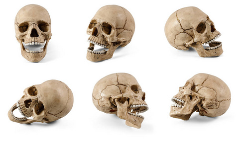 六塑料人头骨与开放颌骨在不同的角度查出的白色背景