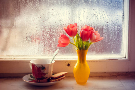 在窗台上花瓶里的郁金香