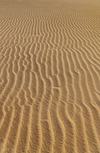 沙子背景波纹