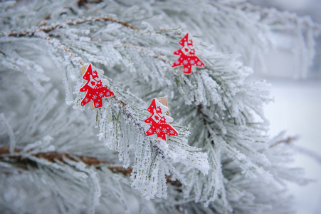 冰雪覆盖的冷杉树的冬季背景装饰