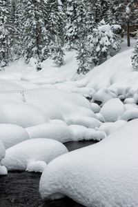 山地河石上的粉雪堆与森林降雪图片