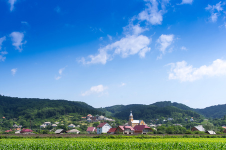 山中村的风景