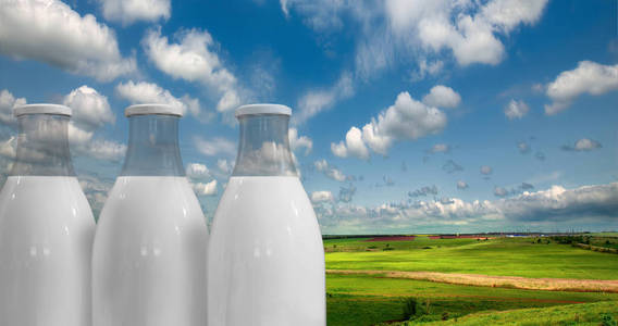 牛奶在瓶子反对夏天草甸和天空的背景