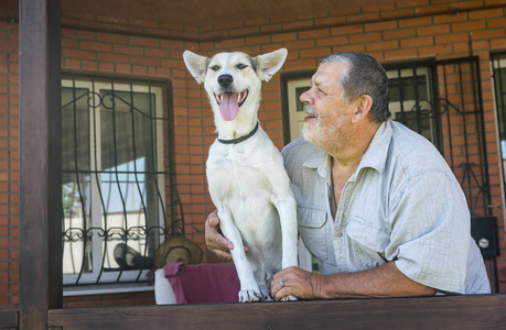 户外肖像的快乐混合品种白狗与其欢快的胡子资深大师摆在他们的房子附近