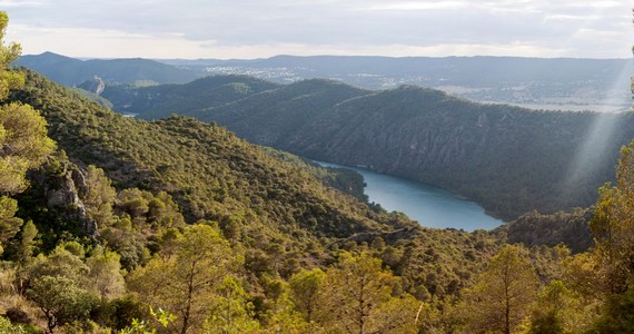 La Alcarria 景观
